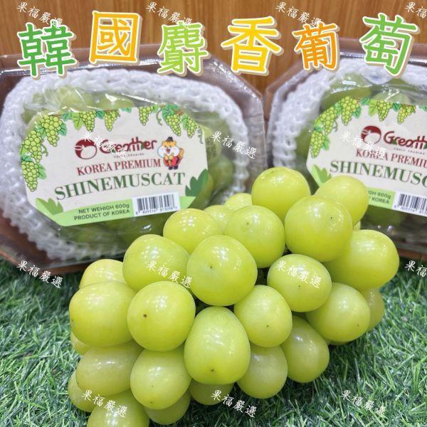 韓國麝香葡萄 🍇韓國麝香葡萄-果肉飽滿 細緻Q彈‼️送禮 麝香葡萄
✨ 果肉飽滿｜粒粒翠綠
✨ 完全無籽｜細緻Q彈
✨ 高顏值｜高甜度｜超Juicy

來自韓國的夢幻系麝香葡萄,一口爆汁、香氣濃郁,甜得剛剛好,吃過一次就回不去