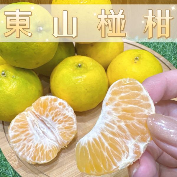 東山椪柑 東山柑橘 東山椪柑
椪柑皮薄易剝、甜度高、香氣濃、果皮呈濃綠色
果皮薄 果肉多汁 香氣濃郁 幸福的柑香
