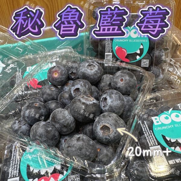 秘魯藍莓巨無霸果 秘魯藍莓巨無霸果
藍莓
大果