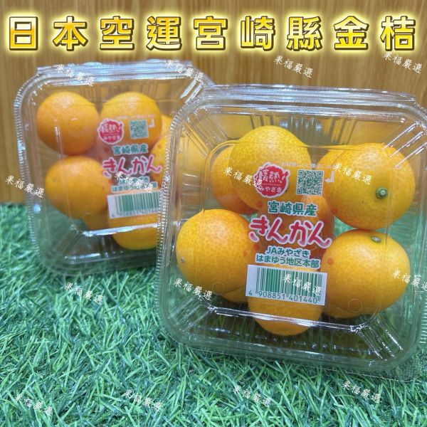 日本宮崎縣金桔 日本宮崎縣金桔
