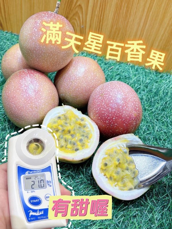 滿天星百香果 滿天星百香果 百香果🍯 蜜糖風味撲鼻
🍋 0酸感,溫和不刺激
💧 水分多、甜度高超滿足
🥭 果肉細緻滑順入口
😋 香甜回甘,齒頰留香