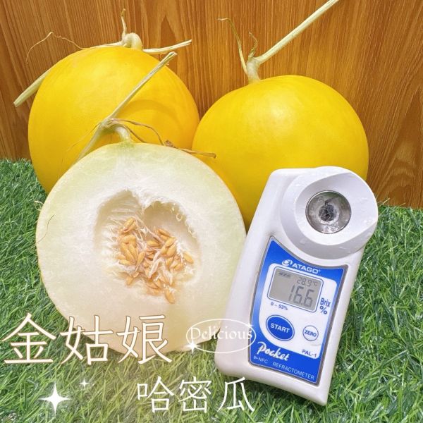 台南金姑娘哈密瓜 金姑娘哈密瓜
金蜜哈密瓜