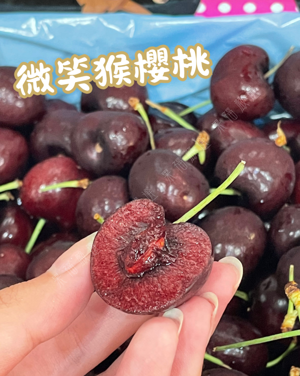 微笑猴 Skeena 8.5R 
