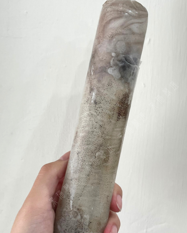 菲律賓鮮凍軟絲 