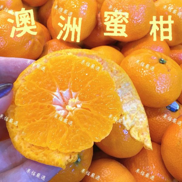 澳洲蜜柑 🍊澳洲蜜柑 -酸甜順口😋
蜜柑