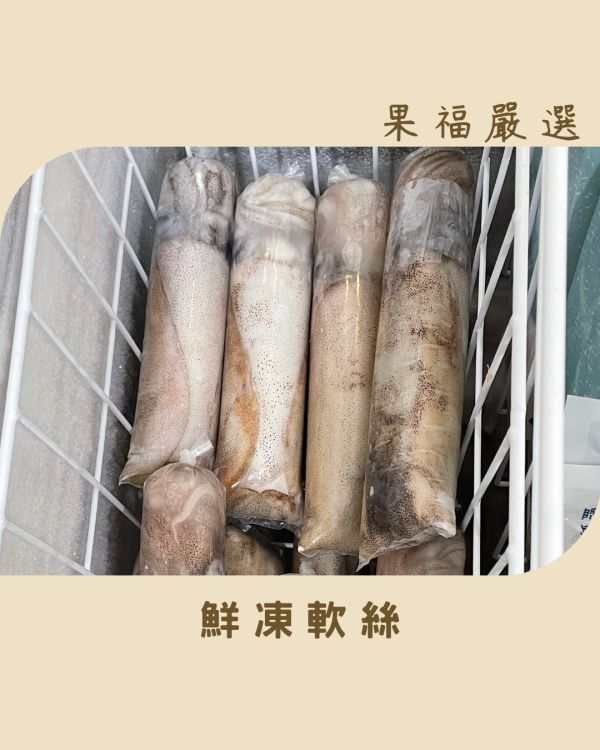 菲律賓鮮凍軟絲 