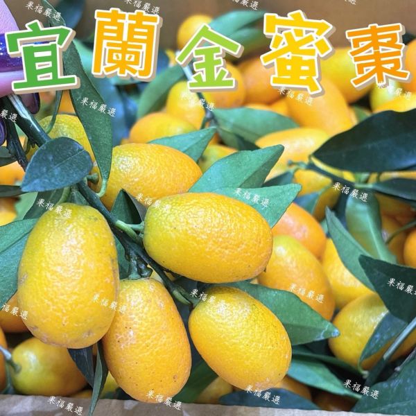 宜蘭金蜜棗 宜蘭金蜜棗