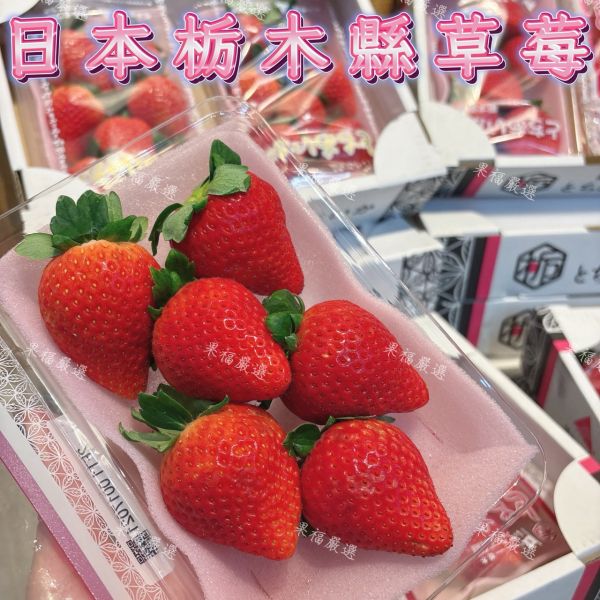 日本栃木縣草莓 日本栃木縣草莓🍓
草莓