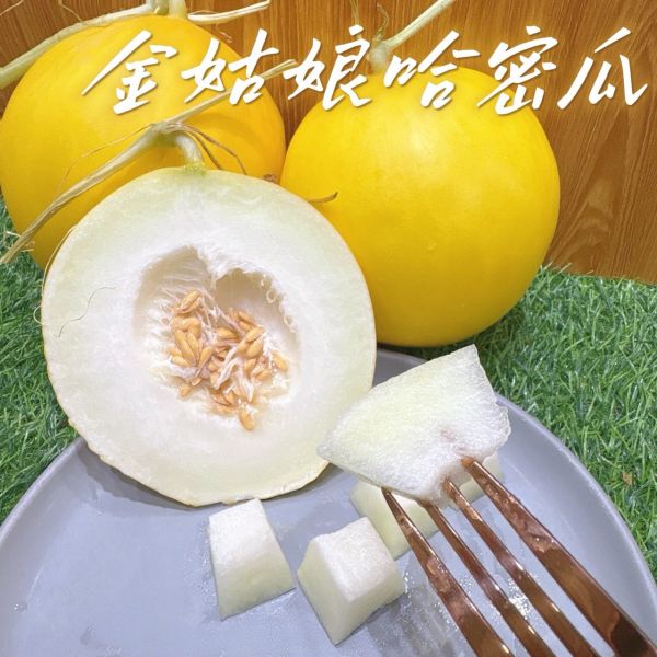 台南金姑娘哈密瓜 金姑娘哈密瓜
金蜜哈密瓜