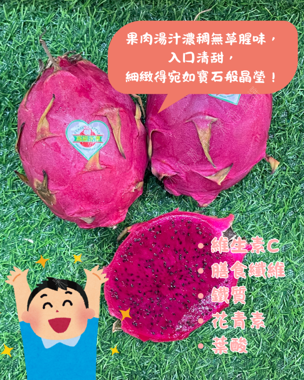 彰化火龍果 
