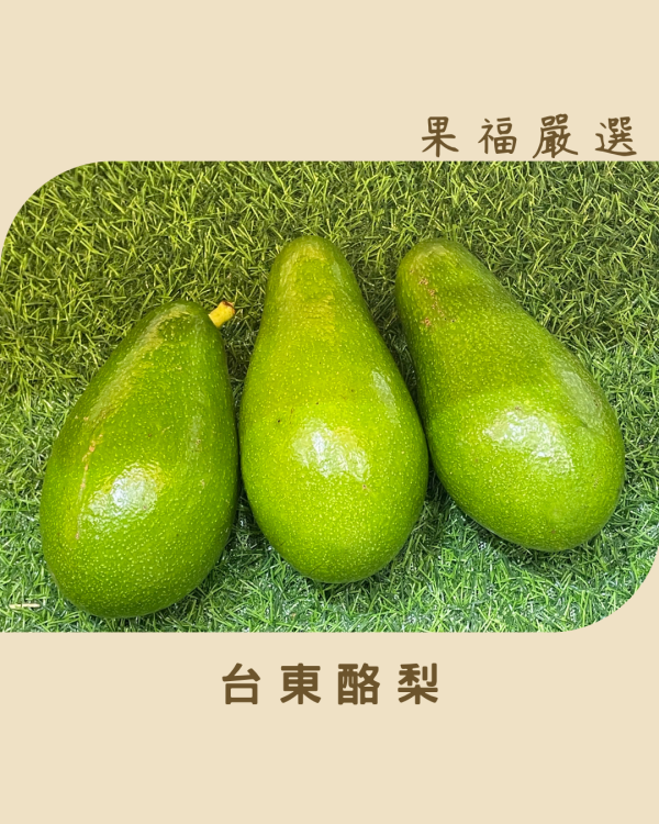 台東酪梨 