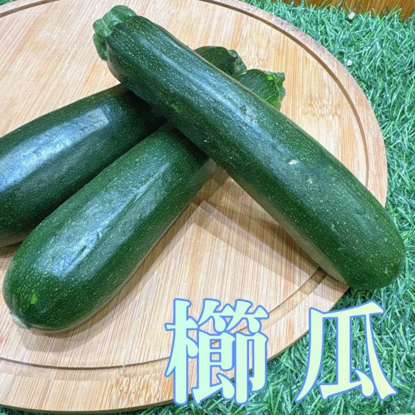 南投仁愛櫛瓜 南投櫛瓜
櫛瓜
高山櫛瓜