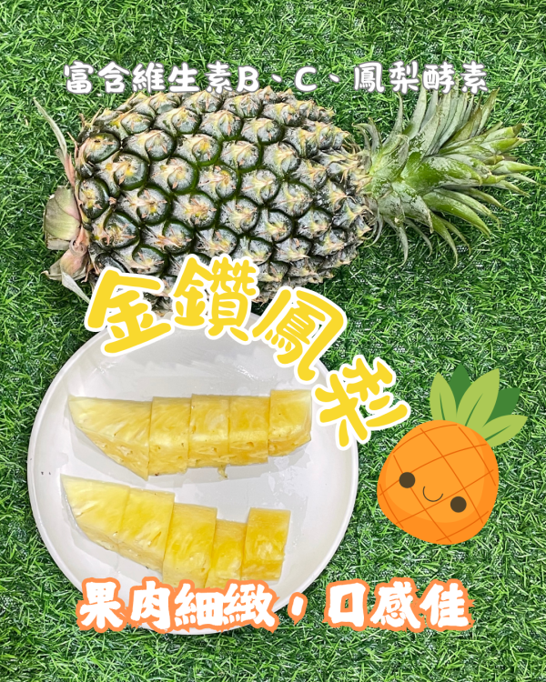 金鑽17號鳳梨 