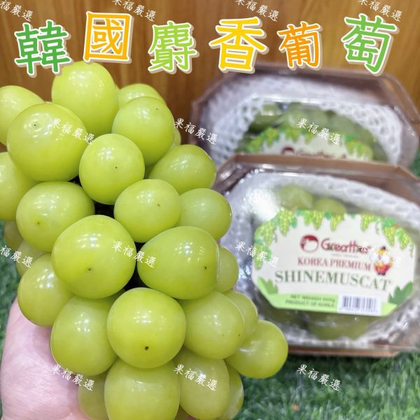 韓國麝香葡萄 🍇韓國麝香葡萄-果肉飽滿 細緻Q彈‼️送禮 麝香葡萄
✨ 果肉飽滿｜粒粒翠綠
✨ 完全無籽｜細緻Q彈
✨ 高顏值｜高甜度｜超Juicy

來自韓國的夢幻系麝香葡萄,一口爆汁、香氣濃郁,甜得剛剛好,吃過一次就回不去
