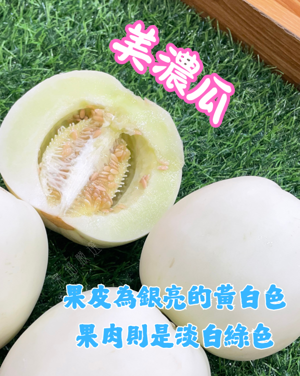 美濃瓜 