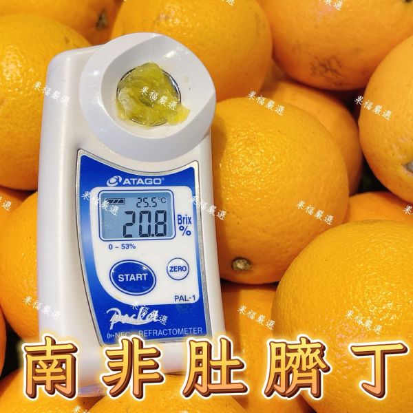 南非肚臍丁 🍊南非肚臍丁