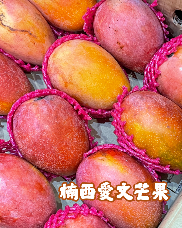 楠西愛文芒果 