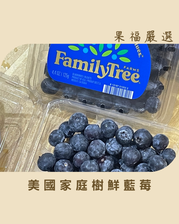 美國家庭樹鮮藍莓 