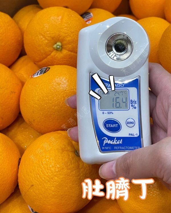 美國肚臍丁 