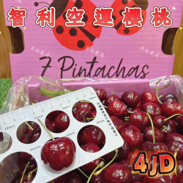 智利空運櫻桃4JD 智利空運櫻桃4JD
黑櫻桃
智利櫻桃
櫻桃