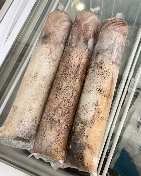 菲律賓鮮凍軟絲 