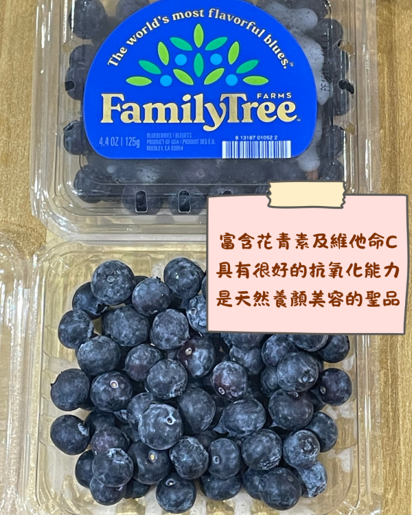 美國家庭樹鮮藍莓 