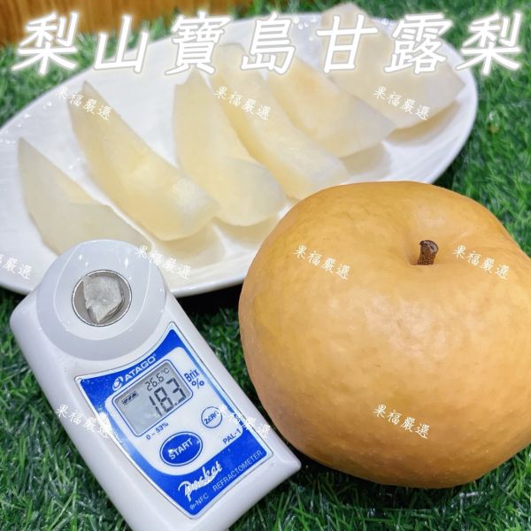 梨山寶島甘露梨 梨山寶島甘露梨
寶島甘露梨
梨山水梨