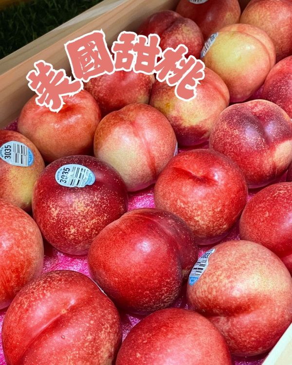 美國甜桃 