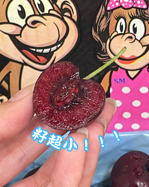 微笑猴 Skeena 8.5R 