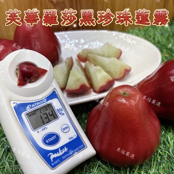 芙華羅莎黑珍珠蓮霧 芙華羅莎黑珍珠蓮霧
蓮霧
黑珍珠