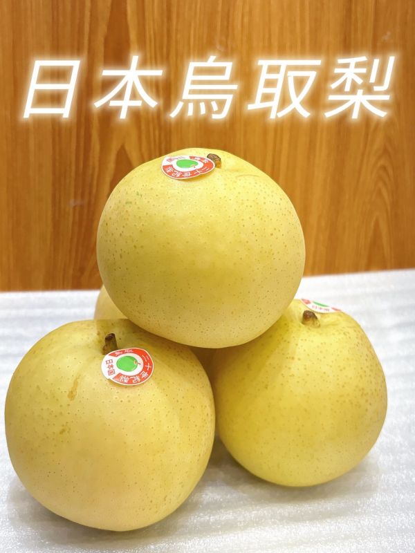 日本鳥取梨 🍐 二十世紀日本鳥取梨 日本梨子 
輕脆爽口 鮮甜多汁💦
🌋 火山地質 + 清澈山泉灌溉 → 天然好滋味
✨ 果肉細緻 · 清脆爽口
✨ 鮮甜多汁 💦 每一口都沁入心脾
✨ 帶有天然蜜香,越吃越回味