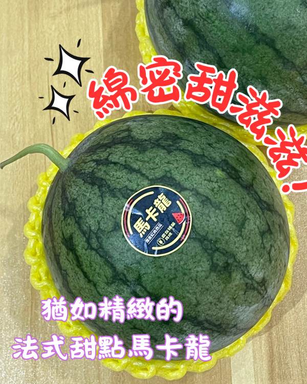 馬卡龍西瓜 