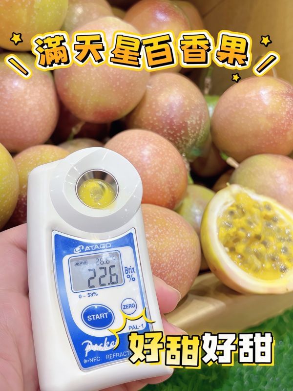 滿天星百香果 滿天星百香果 百香果🍯 蜜糖風味撲鼻
🍋 0酸感,溫和不刺激
💧 水分多、甜度高超滿足
🥭 果肉細緻滑順入口
😋 香甜回甘,齒頰留香