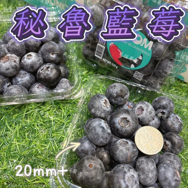 秘魯藍莓巨無霸果 秘魯藍莓巨無霸果
藍莓
大果