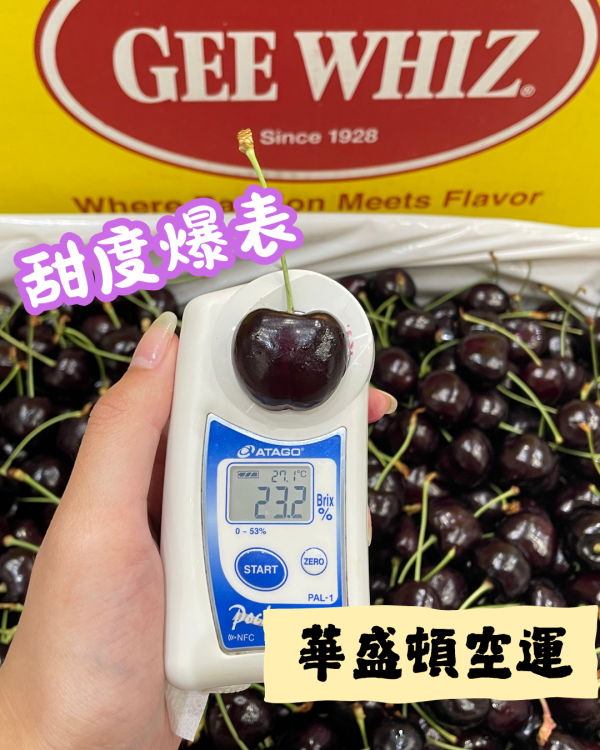 GEE WHIZ手摘櫻桃 