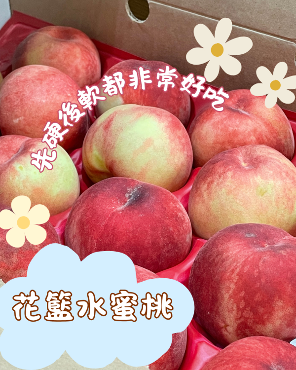 花籃水蜜桃 