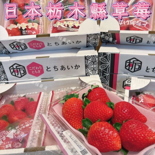 日本栃木縣草莓 日本栃木縣草莓🍓
草莓