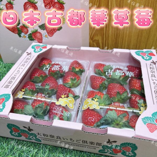 日本古都華草莓 古都華草莓