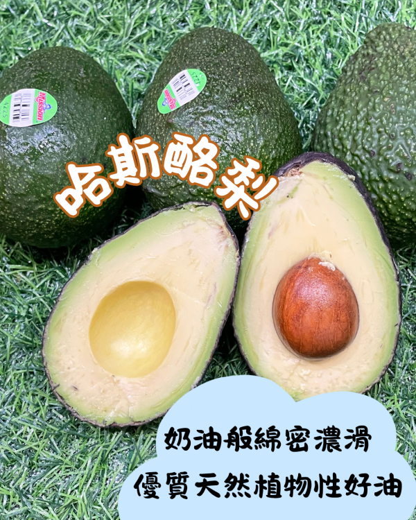 哈斯酪梨 