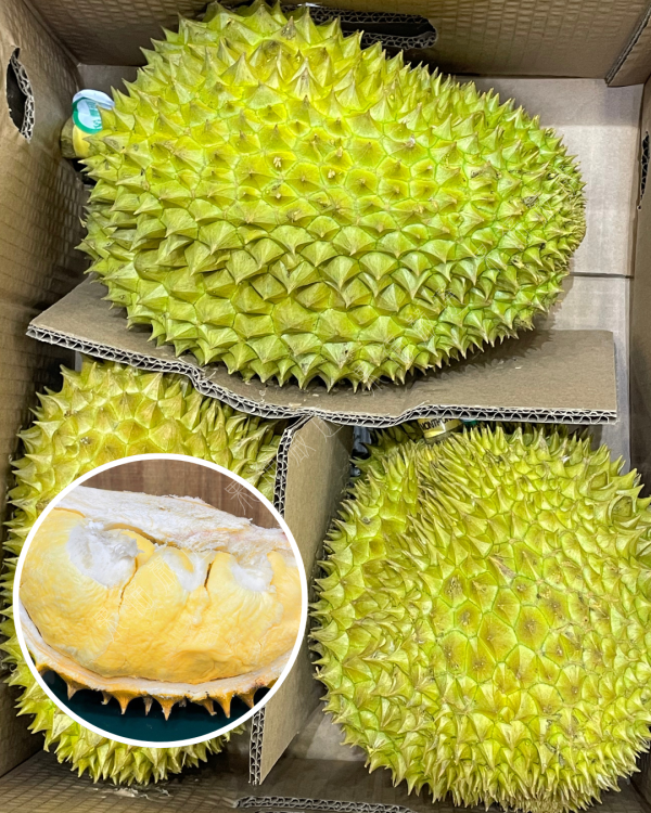 越南干堯榴槤 