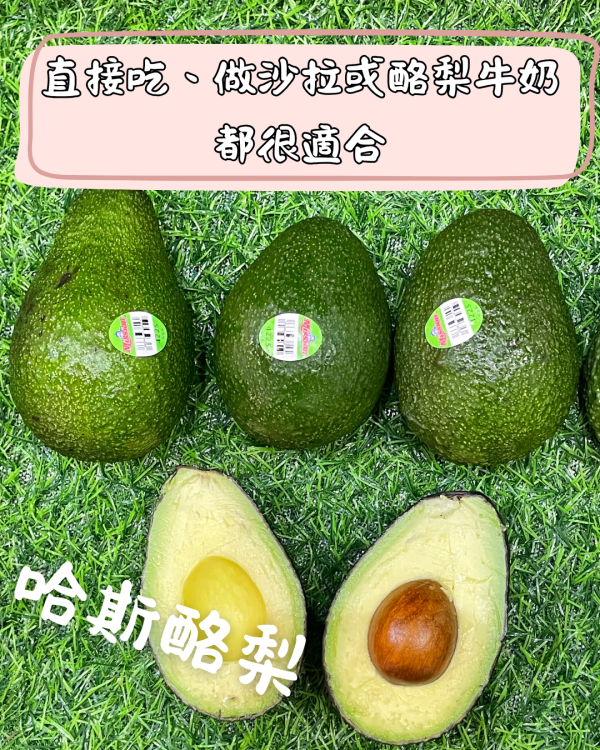 哈斯酪梨 