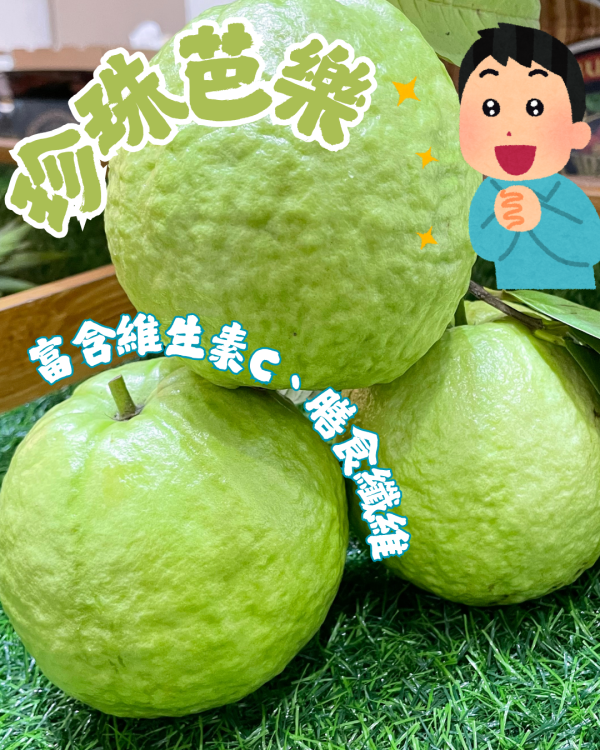珍珠芭樂 