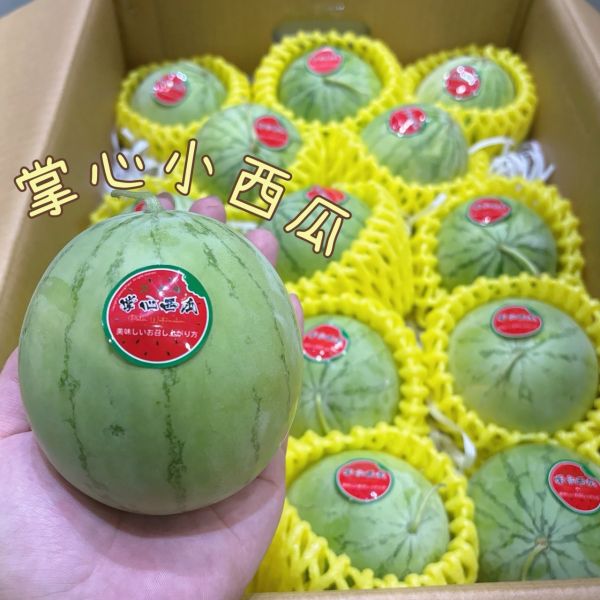 雲林掌心小西瓜 嘉義的掌心西瓜🍉
皮薄、肉紅、汁多又香甜
