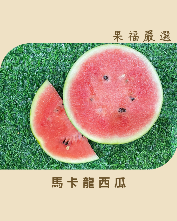 馬卡龍西瓜 