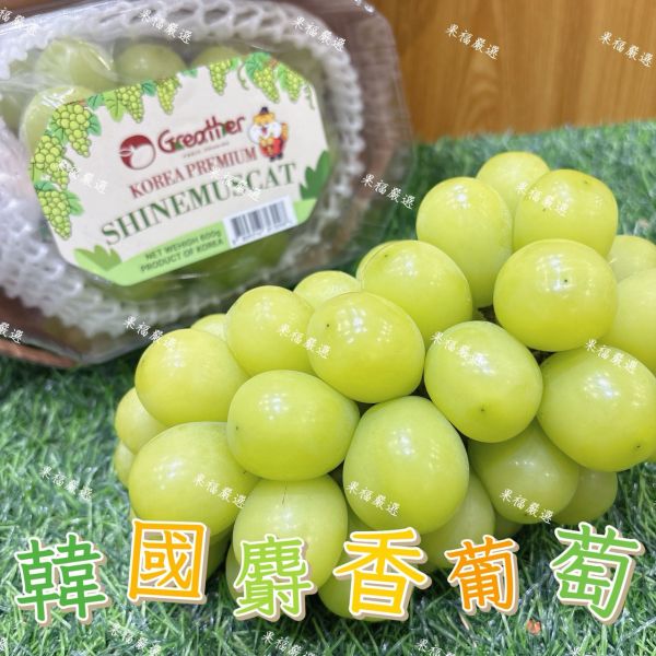 韓國麝香葡萄 🍇韓國麝香葡萄-果肉飽滿 細緻Q彈‼️送禮 麝香葡萄
✨ 果肉飽滿｜粒粒翠綠
✨ 完全無籽｜細緻Q彈
✨ 高顏值｜高甜度｜超Juicy

來自韓國的夢幻系麝香葡萄,一口爆汁、香氣濃郁,甜得剛剛好,吃過一次就回不去