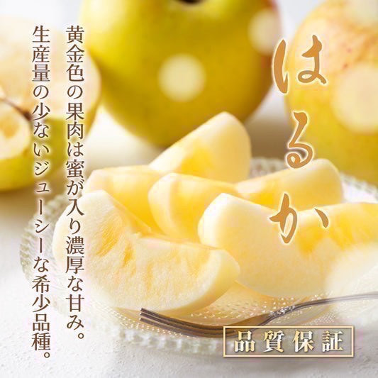 日本青森冬戀蘋果 日本青森冬戀蘋果 
蘋果
日本蘋果
蜜腺蘋果