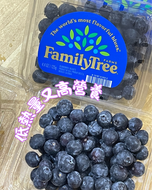 美國家庭樹鮮藍莓 