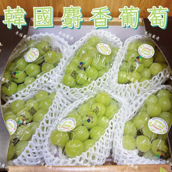 韓國麝香葡萄 🍇韓國麝香葡萄-果肉飽滿 細緻Q彈‼️送禮 麝香葡萄
✨ 果肉飽滿｜粒粒翠綠
✨ 完全無籽｜細緻Q彈
✨ 高顏值｜高甜度｜超Juicy

來自韓國的夢幻系麝香葡萄,一口爆汁、香氣濃郁,甜得剛剛好,吃過一次就回不去