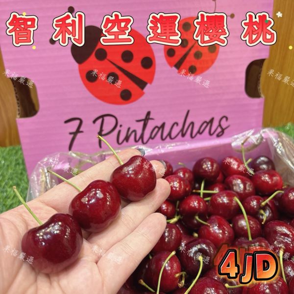 智利空運櫻桃4JD 智利空運櫻桃4JD
黑櫻桃
智利櫻桃
櫻桃