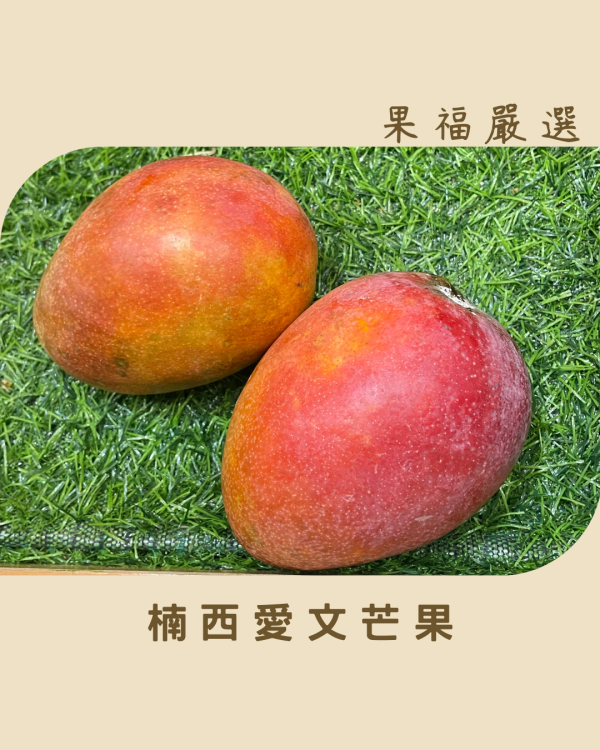 楠西愛文芒果 